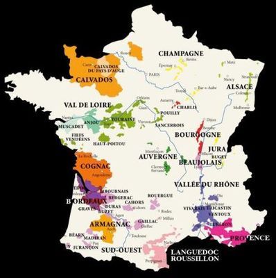 AOC:法國葡萄酒的成功密碼_經(jīng)濟(jì)臺_中國網(wǎng)絡(luò)電視臺