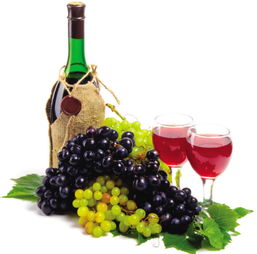 進(jìn)口法國紅酒報(bào)價(jià) 廠家